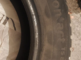 205/55 R16 Continental WinterContact TS870 - 2023 foto 2