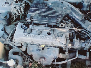 Nissan Sunny foto 6