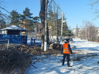 Удаляем деревья. foto 4