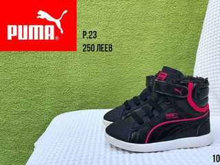 Adidas, Jordan, Ricosta, Naturino, Elefanten, Hush Puppies Размер 20-23. Весенние. (220-280 леев) foto 9