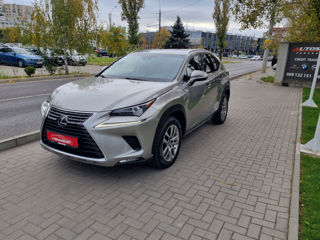 Lexus NX Series