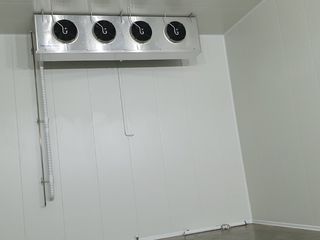 Depozit frigorific (chirie) - холодильник ( аренда) /2020/ foto 4
