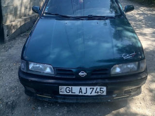 Nissan Primera foto 3