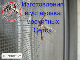 Plase anti insecte foto 8