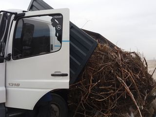 Evacuarea gunoiului, curatirea terenurilor, avem si lucratori foto 8