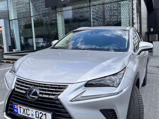 Lexus NX Series
