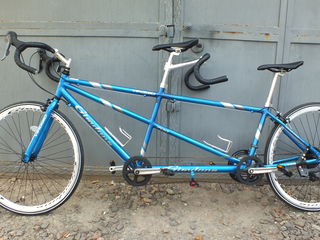 giordano tandem bike