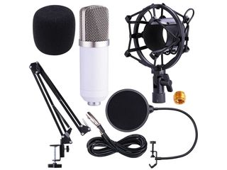 Pro Condenser Microphone w/ Shock Mount Arm Stand Pop Filter For Recording Studio Stage foto 2