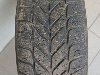 185/65R15 Debica Frigo foto 2