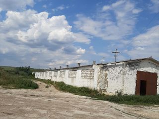 Vanzare, arenda  ferma 1000 m2 cu 1 Ha teren aferent foto 3