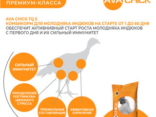 AVA CHICK TQ S - СТАРТОВЫЙ КОМБИКОРМ ДЛЯ ИНДЮШАТ foto 2