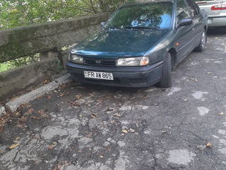 Nissan Primera foto 2