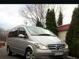 Mercedes Viano foto 9