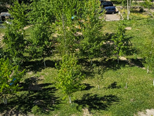 Apartament cu 2 camere,  Telecentru,  Chișinău,  Chișinău mun. foto 13