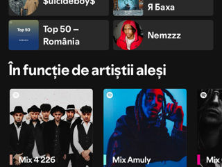 Vind conturi de Spotify Premium