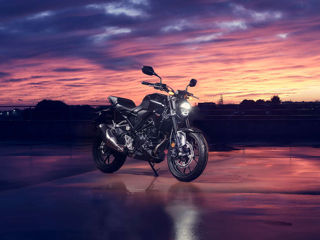 Honda CB300R ABS A2 2023 foto 13
