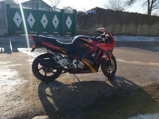 Honda CBR foto 2