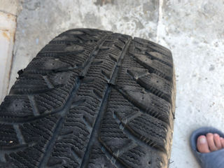 Lassa 195/65 R15 Ideale !!! foto 3