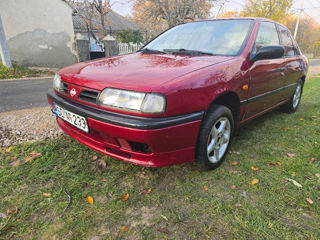 Nissan Primera foto 5