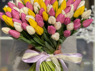 Lalele la pret angro! Livrare flori Тюльпаны оптом и в букете!Доставка цветов Tulips delivery flower foto 6