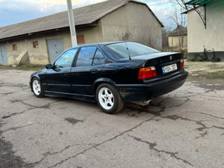 BMW 3 Series foto 4