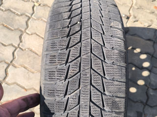 Triangle 205/55R16