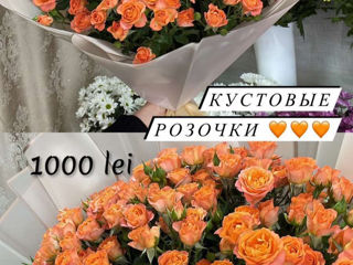 Доставка цветов Бельцы foto 3