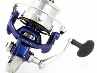 Daiwa 19 TDR Distance 25QD foto 6