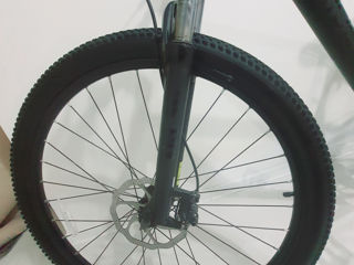 29" Pride Marvel 9.3 frame L foto 8