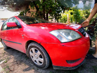 Toyota Corolla foto 8