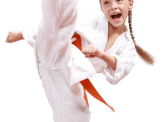 Объявляет набор для занятий Taekwondo WT (ботаника)
