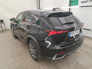 Lexus NX Series foto 5