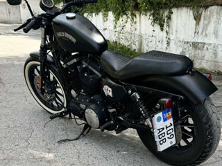 Harley - Davidson IRON 883 foto 3