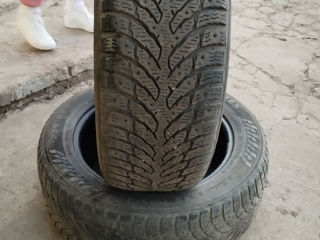 225 55 r17 Nokian Hakkapelita 9 foto 2