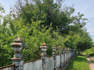 Vânzare casă amplasată în Orhei, com. Ivancea foto 20