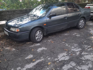 Nissan Primera foto 2