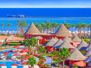 Sharm! "Pickalbatros Laguna Vista Beach Resort & Aqua Park" 5*! Copii pina la 13 ani gratis!