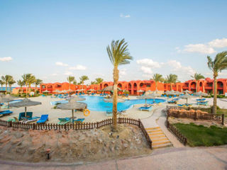 Замечательные пляжи  Marsa Alam! Тур в  Swisstouches Oriental Resort & Spa Marsa Alam 4* foto 6