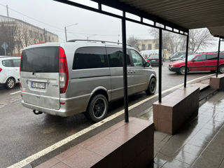 Mercedes Viano foto 5