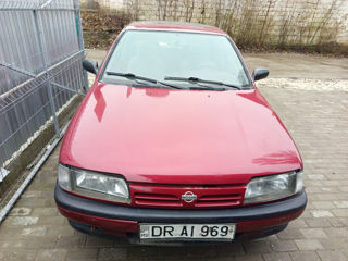 Nissan Primera foto 3