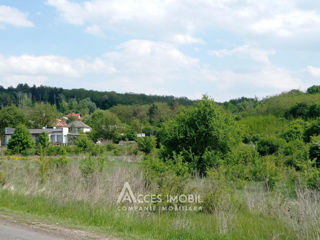 Lot de teren agricol, 40 ari. Poiana Bradului, Colonița! foto 5