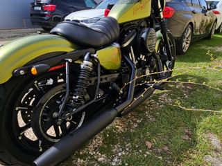 Harley - Davidson Sportster Iron 883 foto 13