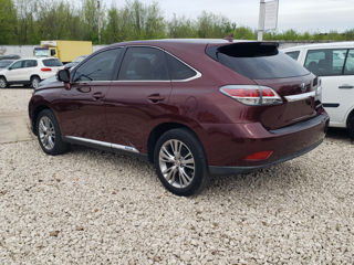 Lexus RX Series foto 5