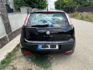 Fiat Punto foto 6