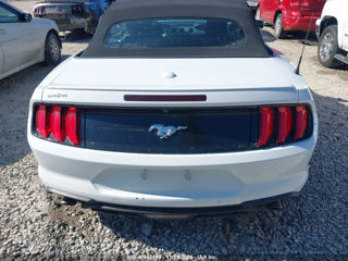 Ford Mustang foto 6