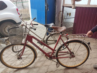Bicicleta rosie foto 1