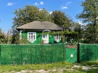 Casa in Alexeevca foto 6