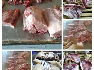 Carne direct de la producător!!!tăiem porci la comanda  78 lei/kg foto 2