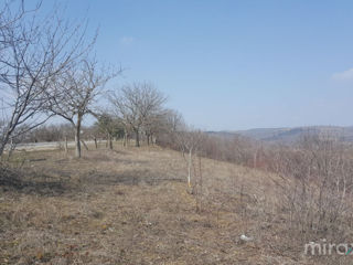 s. Cristești, Nisporeni, Moldova foto 2