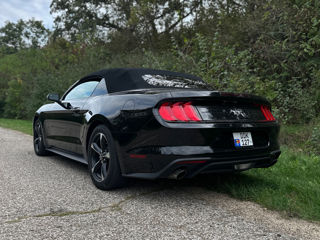 Ford Mustang foto 5